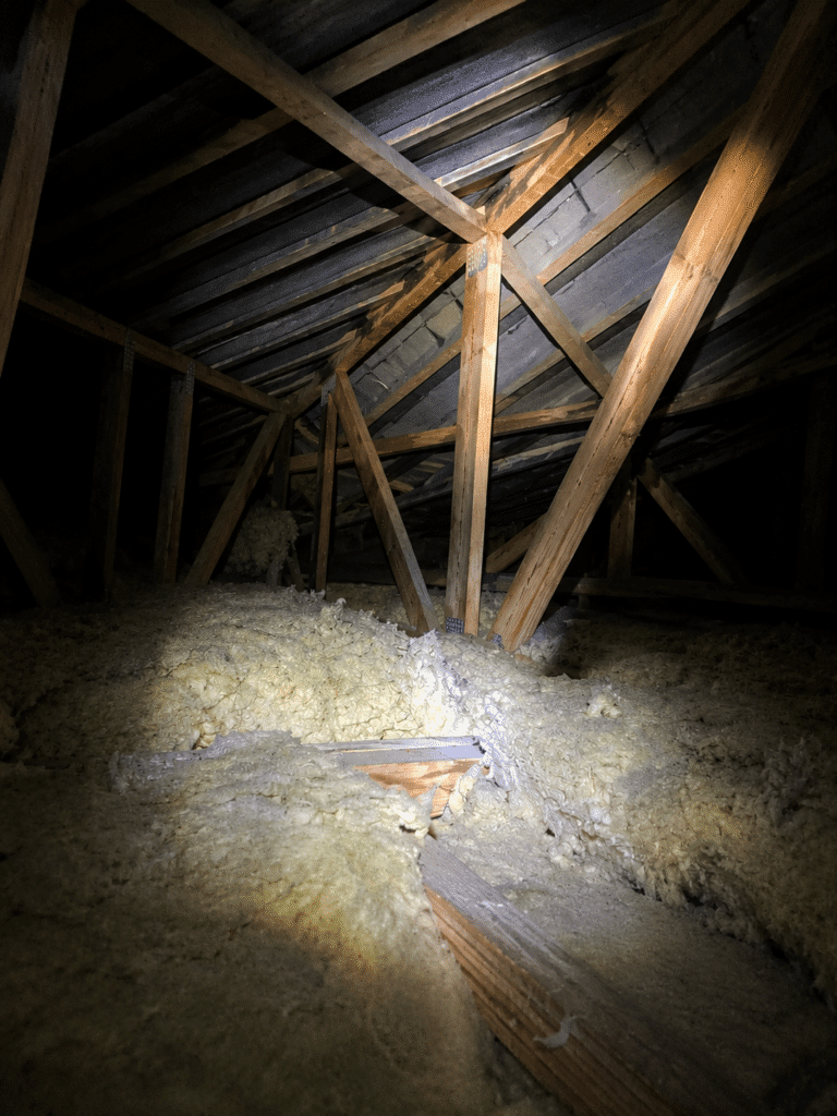 roof void inspection Caloundra building and pest inspection